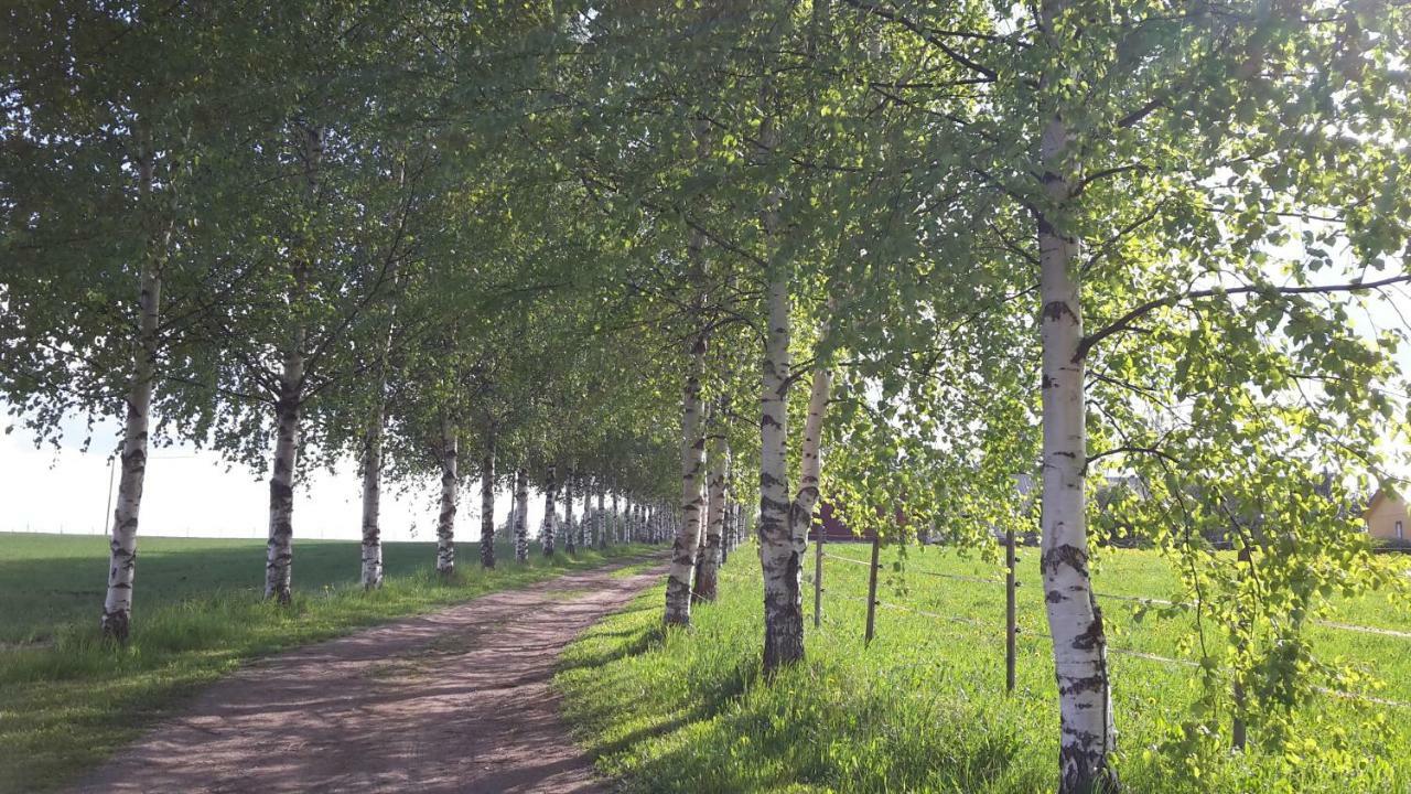 Willa Kaijonselaen Moekit Kaita Kaitainen Zewnętrze zdjęcie